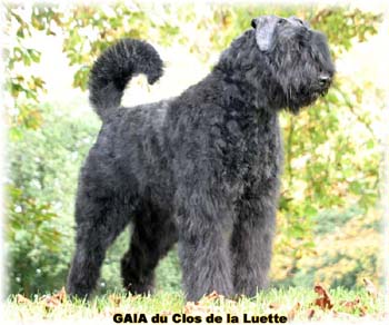 GAIA du Clos de la Luette &copy;